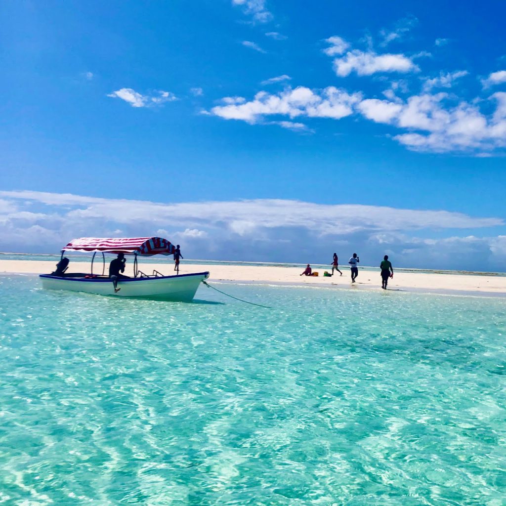Immagine safari Tanzania 65