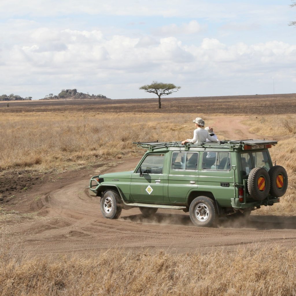 Safari en Tanzanie