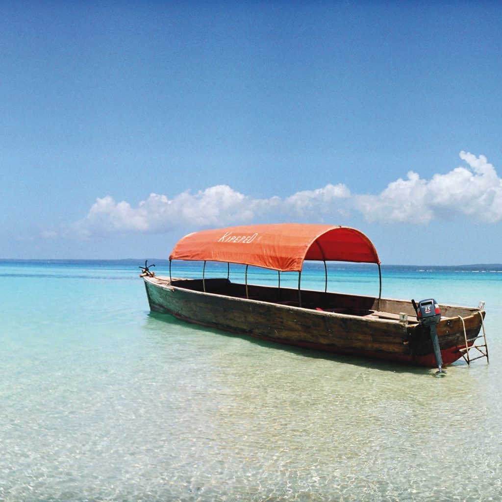 Immagine safari Tanzania 98