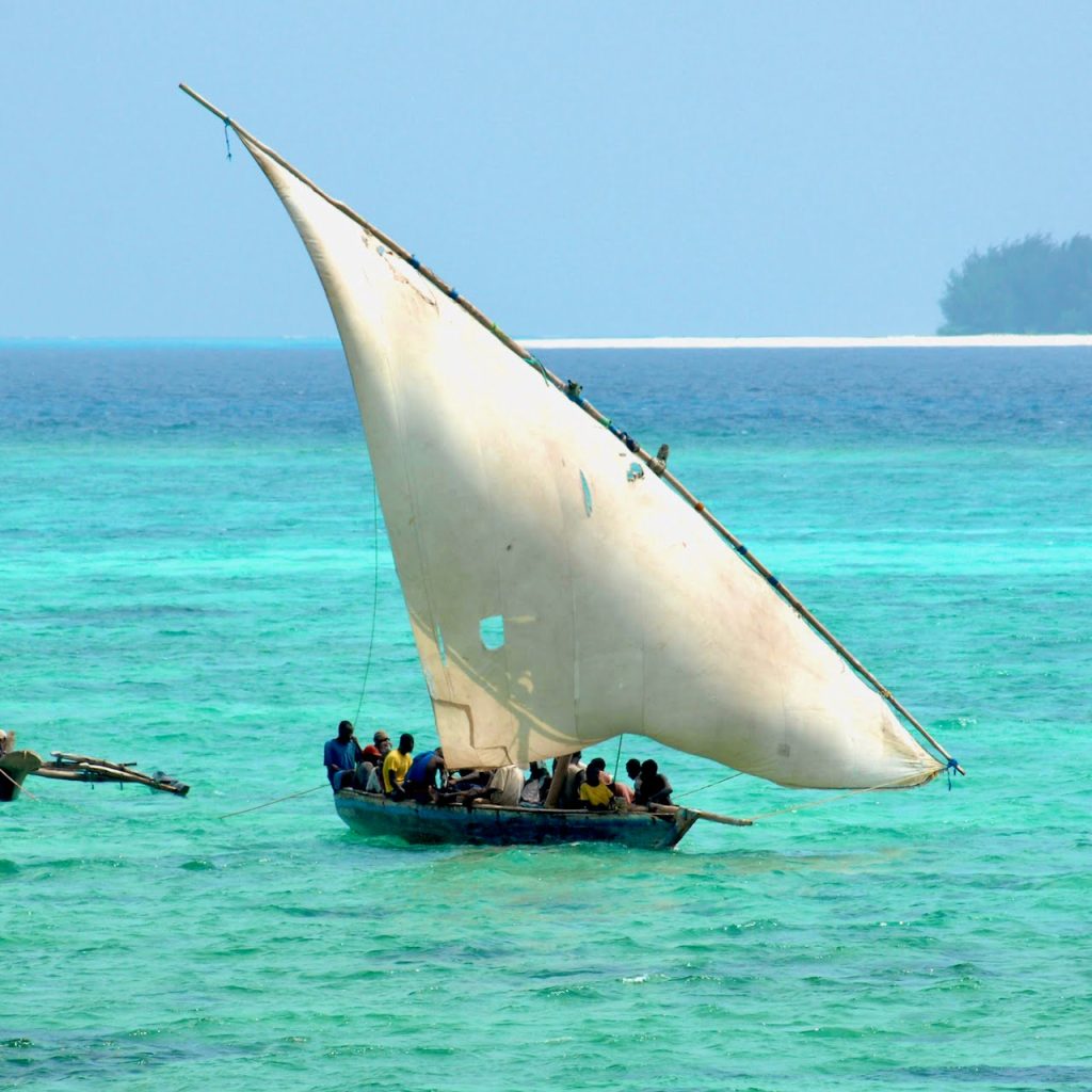 Immagine safari Tanzania 103