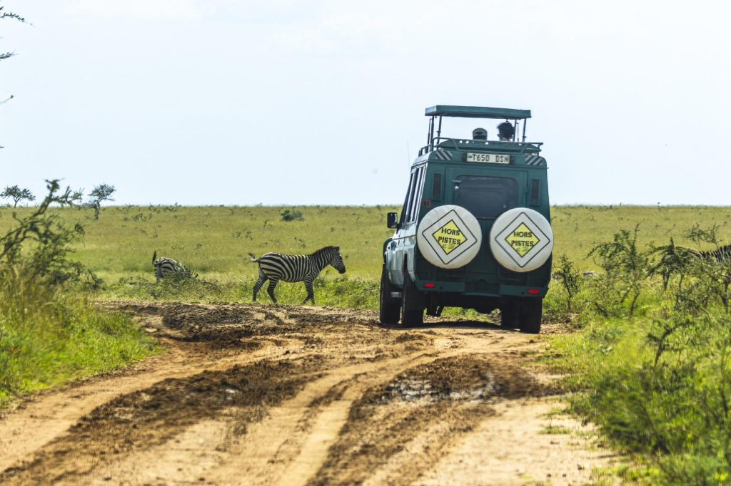 Immagine safari Tanzania 159