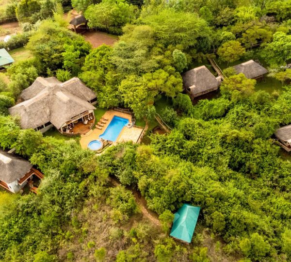 Ngorongoro Lodge Tendato nella Foresta