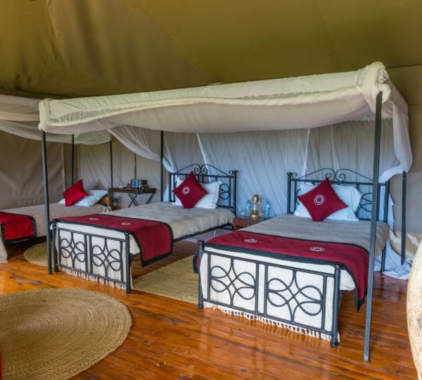 Ngorongoro Forest Tented Lodge camera tripla