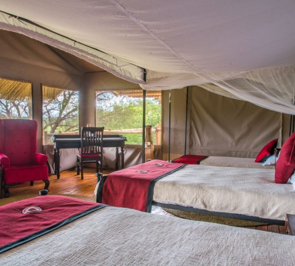 Ngorongoro Forest Tented Lodge camera tripla