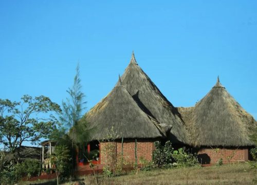 Viva la Tanzania