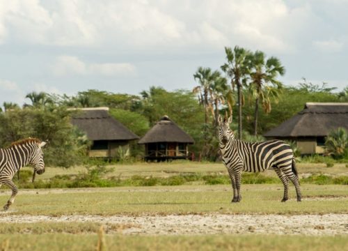 Maramboi Lodge Tendato Tarangire