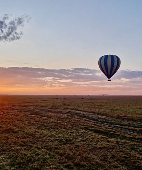 Mongolfiera