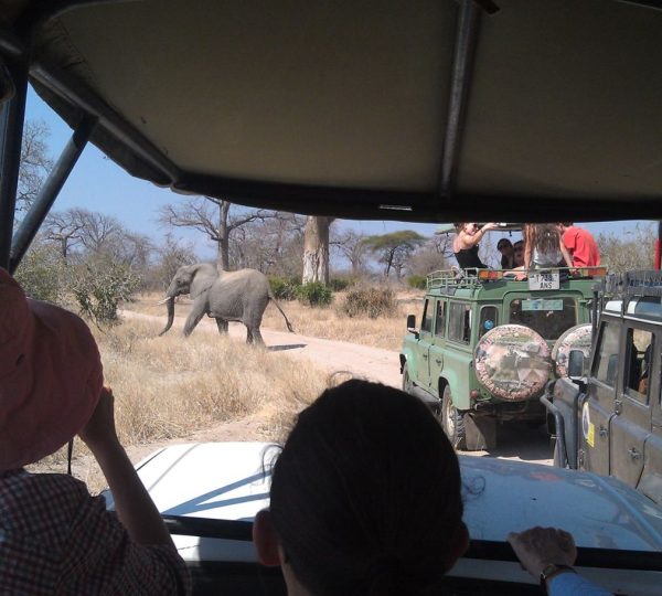 Safari 4x4 Tanzania del Sud (1)
