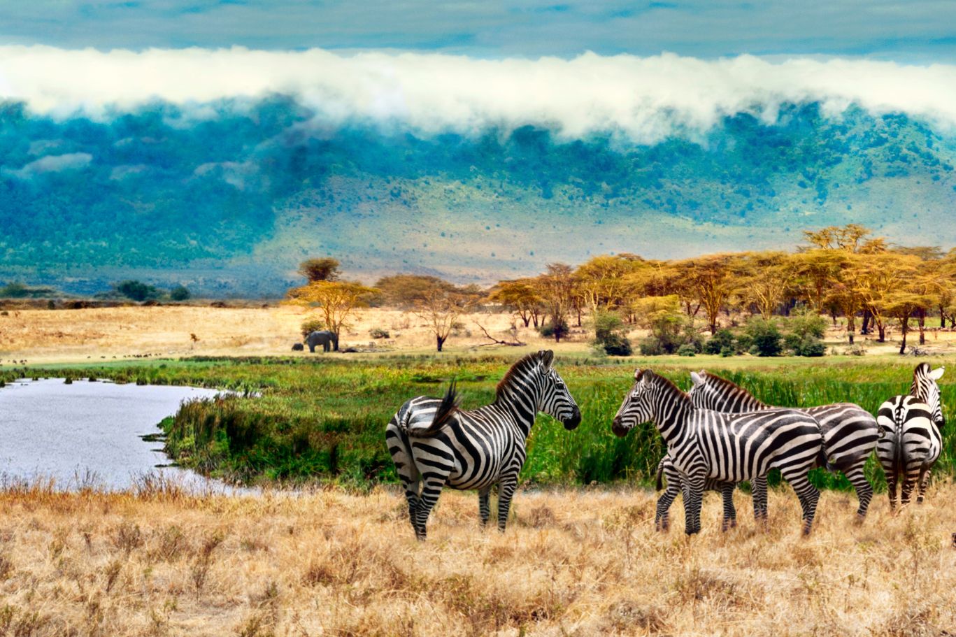 Parco nazionale di Manyara