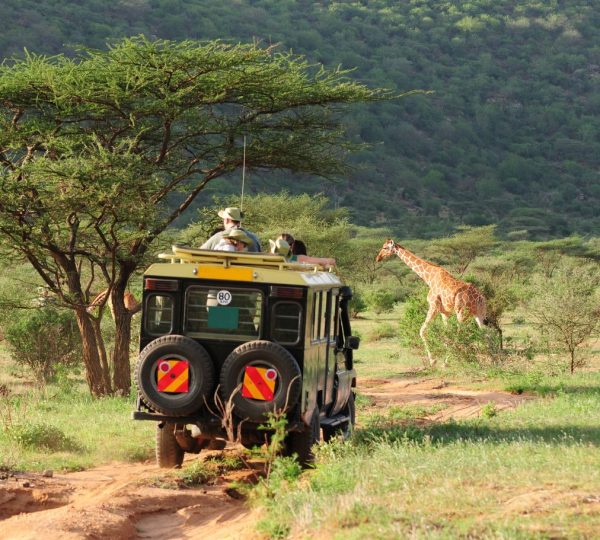 Safari in Tanzania Selous Kinga Lodge