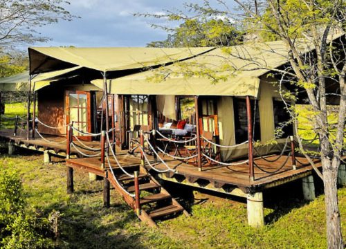 Serengeti Campo della Migrazione