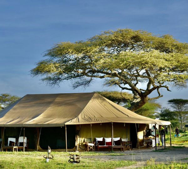 Serengeti Wildlands Campo Mobile Safari Tanzania