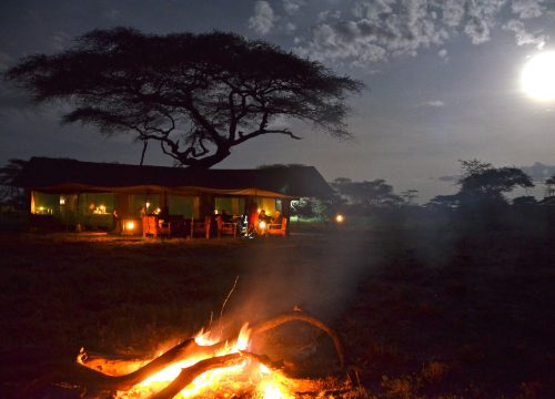 Wildlands Mobile Camp Tanzania