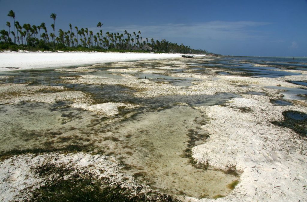Matemwe Beach a Zanzibar