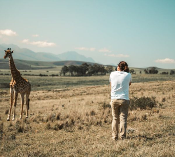 Safari Fotografico in Tanzania