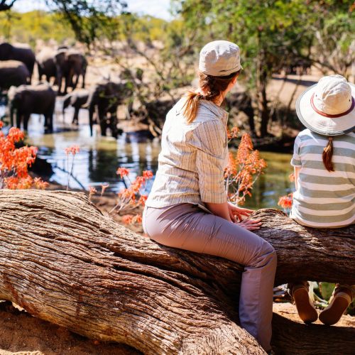 Safari in Tanzania in famiglia