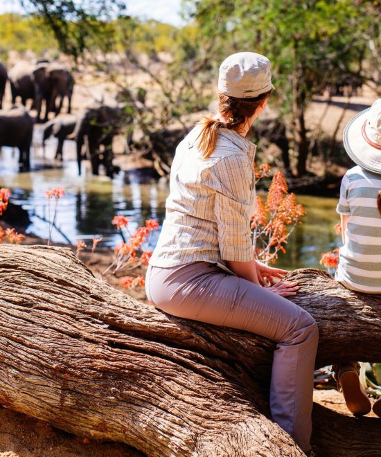 Safari in Tanzania in famiglia