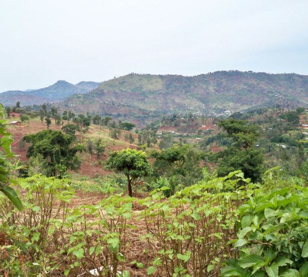 Monti Usambara