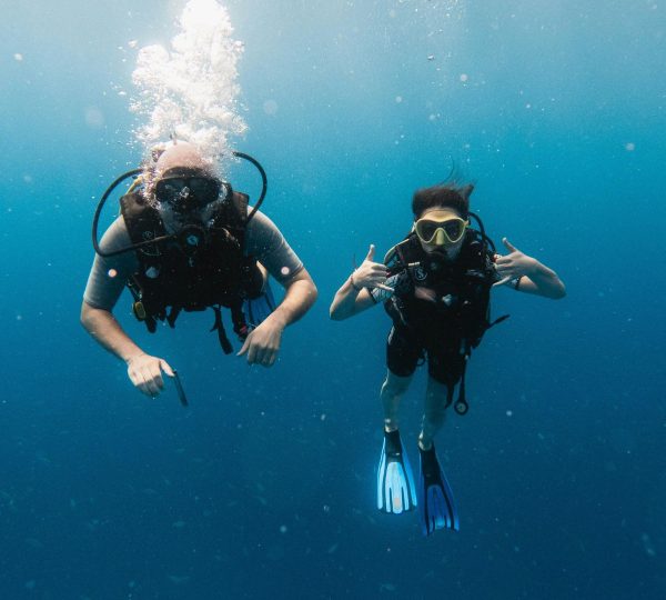Immersione Zanzibar Immersione subacquea