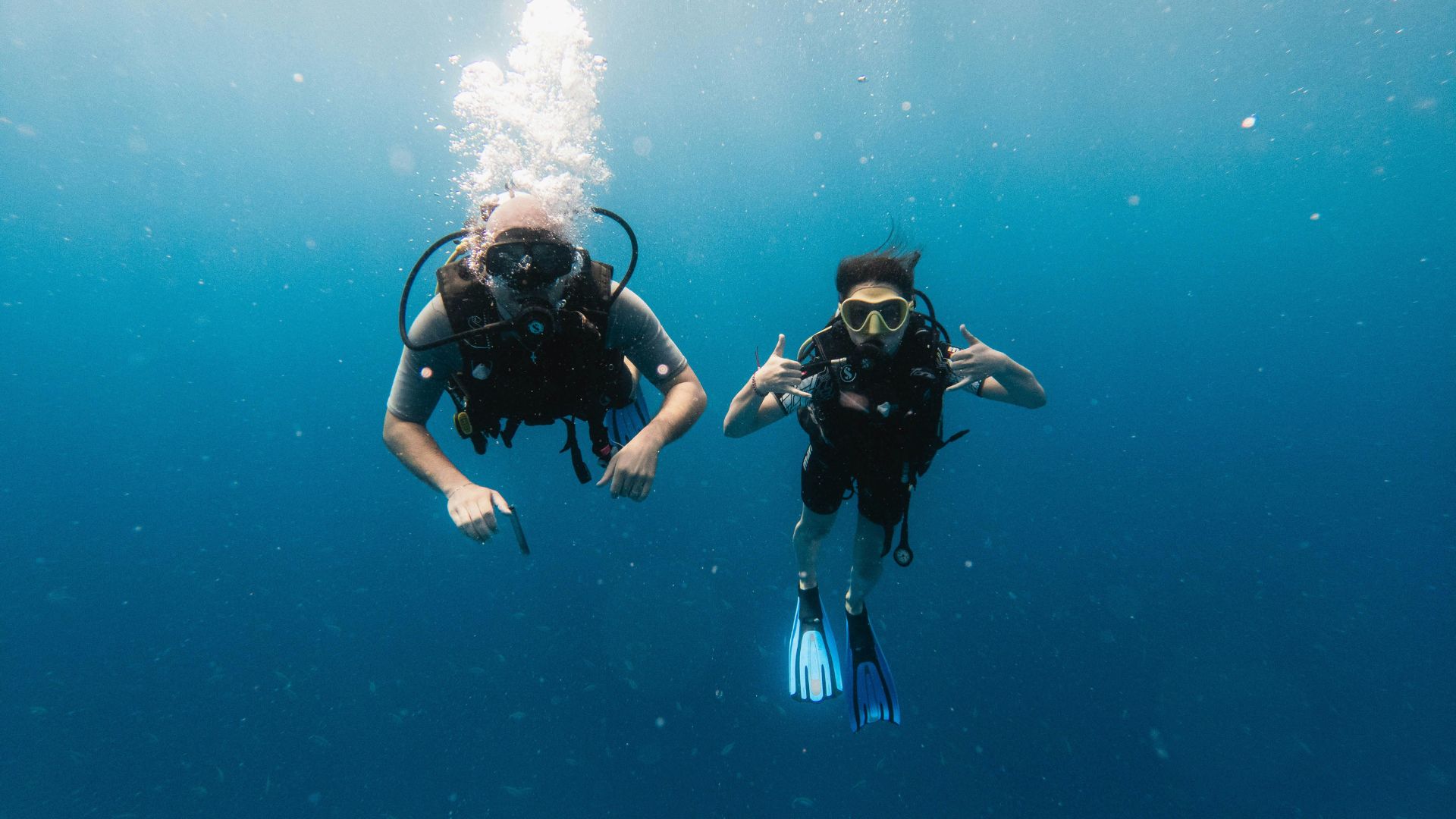 Diving Zanzibar Immersione subacquea