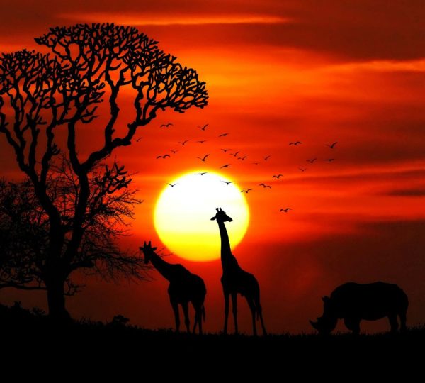Luna di miele viaggio di nozze da sogno in Tanzania