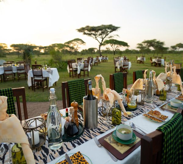 Ndutu Lodge Cena Tanzania