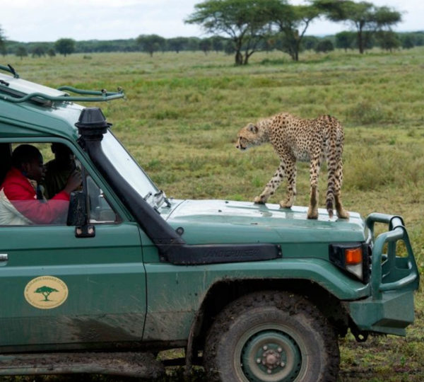 Safari in Tanzania